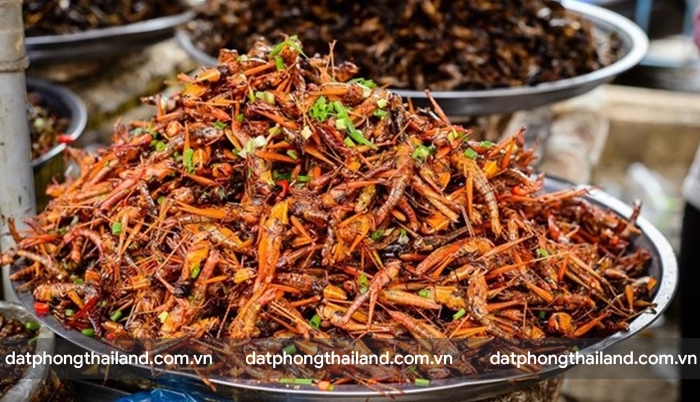 Côn trùng nướng - món ăn kinh hoàng ở Thái Lan